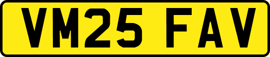 VM25FAV