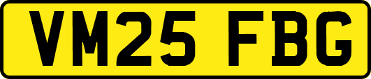VM25FBG