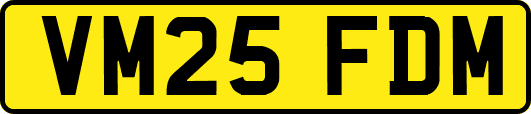 VM25FDM