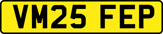 VM25FEP