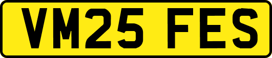 VM25FES