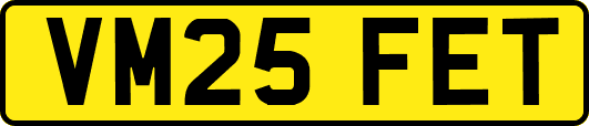 VM25FET