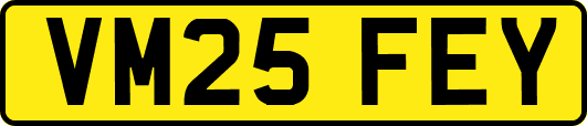 VM25FEY