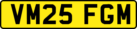 VM25FGM