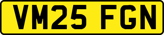 VM25FGN