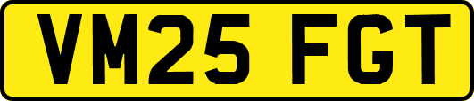 VM25FGT