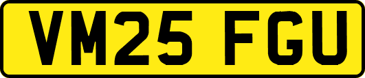 VM25FGU