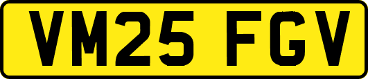 VM25FGV