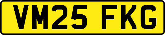 VM25FKG