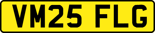 VM25FLG