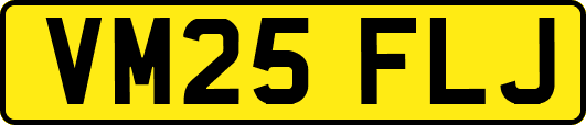 VM25FLJ