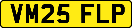VM25FLP