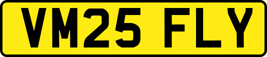 VM25FLY