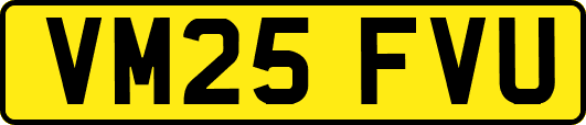 VM25FVU