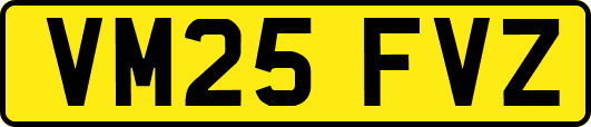VM25FVZ