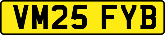 VM25FYB