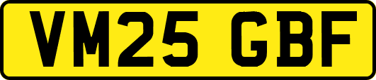 VM25GBF