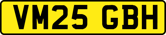 VM25GBH