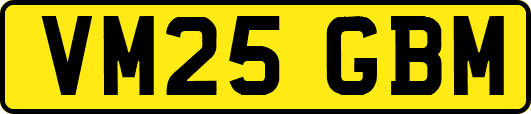 VM25GBM