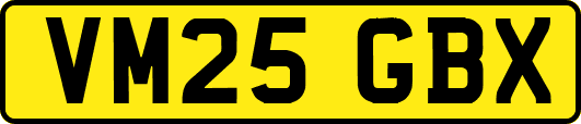 VM25GBX