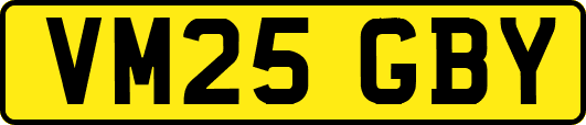 VM25GBY