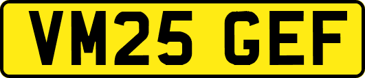 VM25GEF