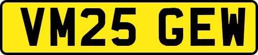 VM25GEW