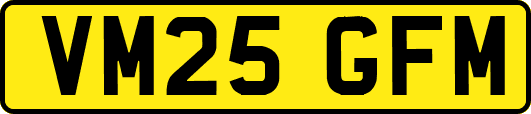 VM25GFM