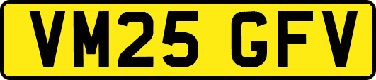 VM25GFV
