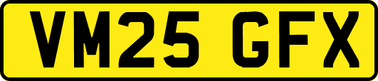 VM25GFX