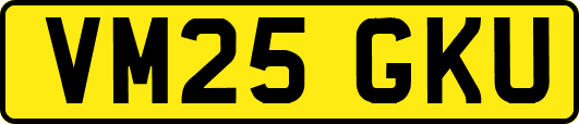 VM25GKU