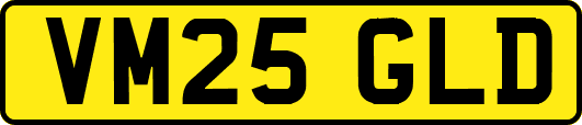 VM25GLD