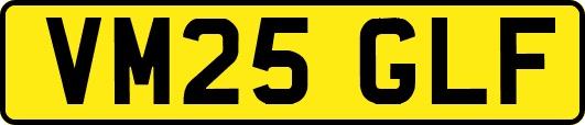 VM25GLF
