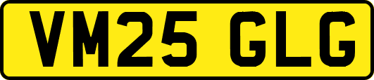 VM25GLG