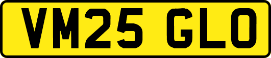 VM25GLO