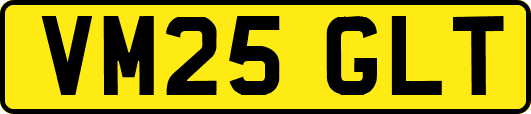 VM25GLT