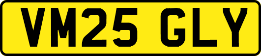 VM25GLY