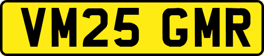 VM25GMR