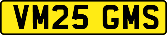 VM25GMS