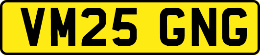 VM25GNG