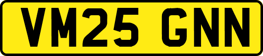 VM25GNN