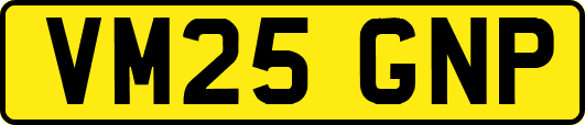 VM25GNP