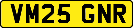VM25GNR