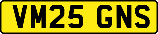 VM25GNS