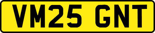 VM25GNT