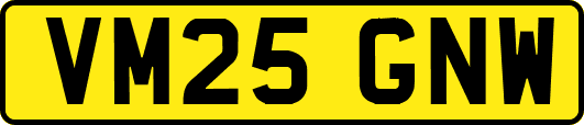 VM25GNW
