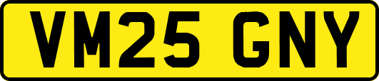 VM25GNY