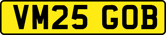 VM25GOB