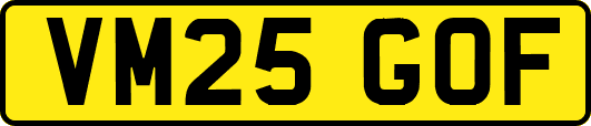 VM25GOF
