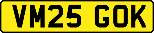 VM25GOK